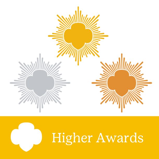 Higher Awards: Silver Award Training Workshop - Virtual